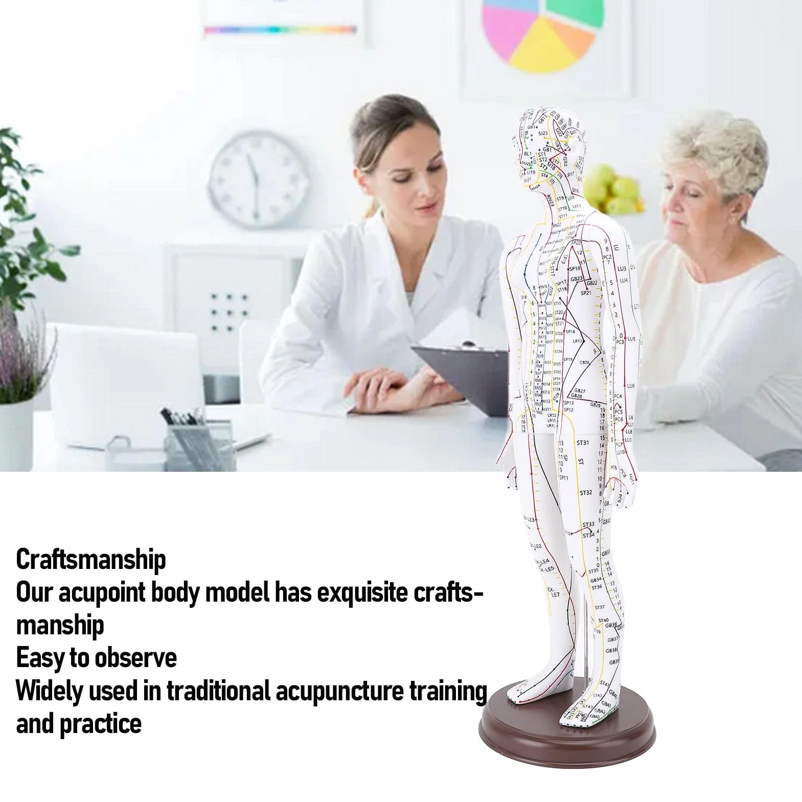 20 '' Menschliches Körper Akupunkturmodell, Männliche/weibliche Druckpunkt und Meridianer Modell für Unterricht, Akupunktur und Massage, Menschliche Proportionsstruktur (Weiblich)